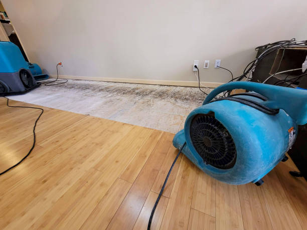 Professional Flood Damage Cleanup technician working in Bethpage, NY